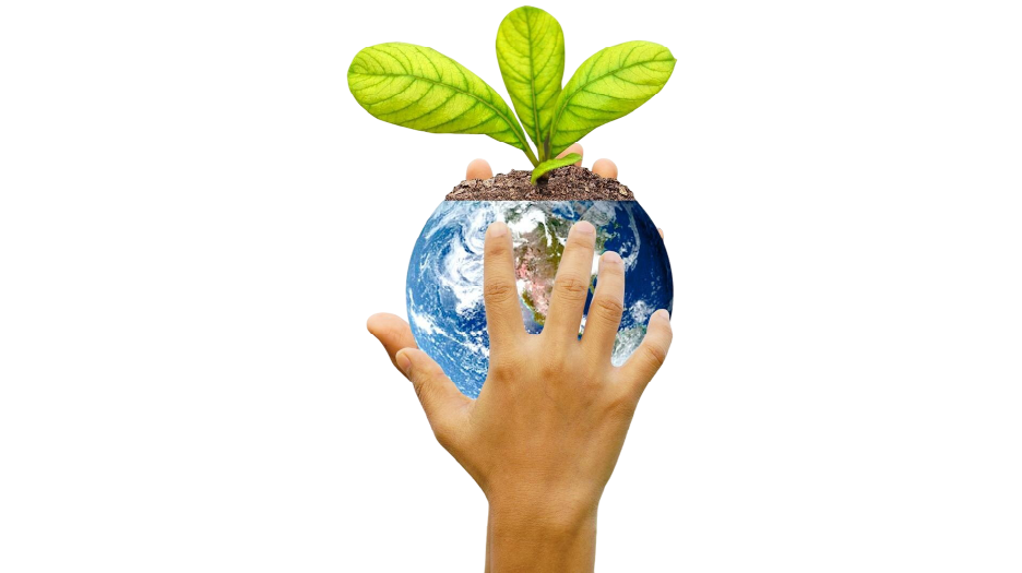 Social Responsibility-02 1