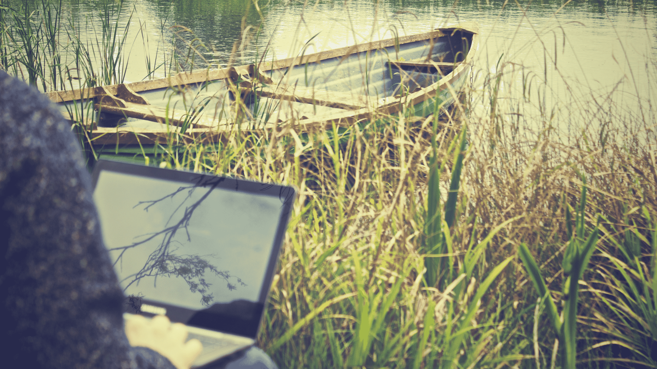 Searching for the perfect remote job